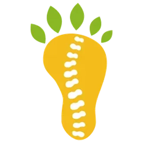 Pineapple Chiropractic and Podiatry